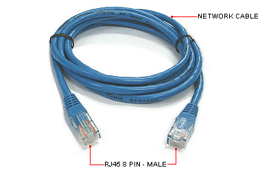 Ethernet Rj45 on Ethernet   Network 8 Pin Rj45 6    M To M
